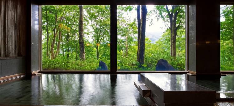 八甲田酒店(Hakkoda Hotel)图片