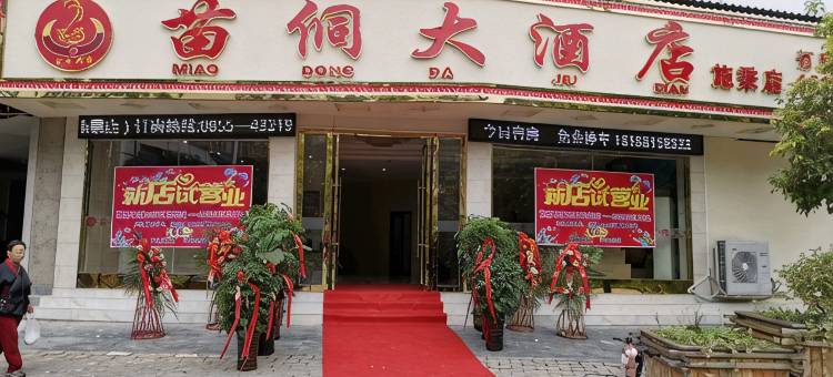 施秉苗侗大酒店图片