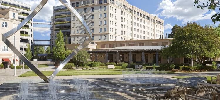 库佩蒂诺朱尼伯格芮希尔顿精选酒店(Juniper Hotel Cupertino, Curio Collection by Hilton)图片