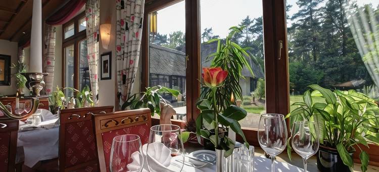 索尔陶尔海德花园酒店(Heidehotel Soltauer Hof)图片