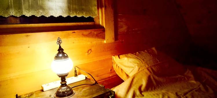 Private Cabin-Perfect for families, large groups!图片