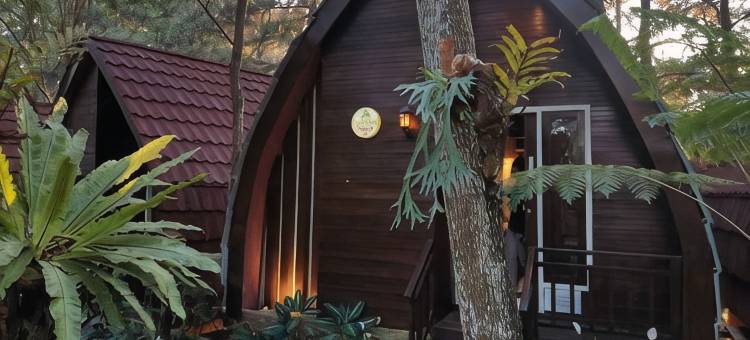 由Cocotel提供动力的皮贾度假村(Pijar Resort powered by Cocotel)图片