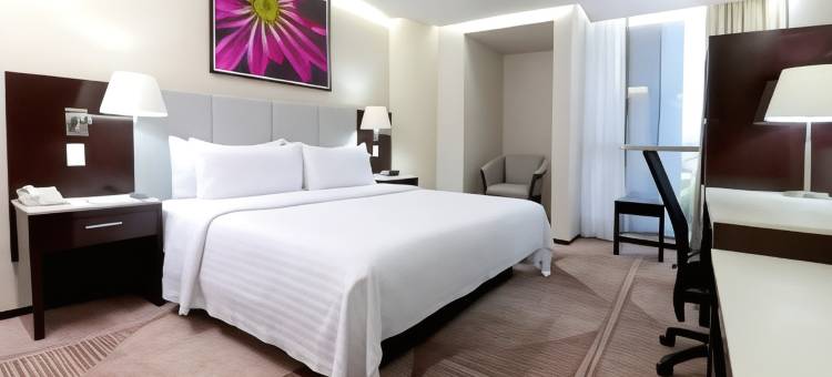 Holiday Inn & Suites 墨西哥城MEDICA SUR(Holiday Inn & Suites MEXICO MEDICA SUR by IHG)图片
