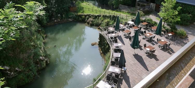比伯米勒酒店餐厅(Hotel-Restaurant Bibermühle Gmbh)图片
