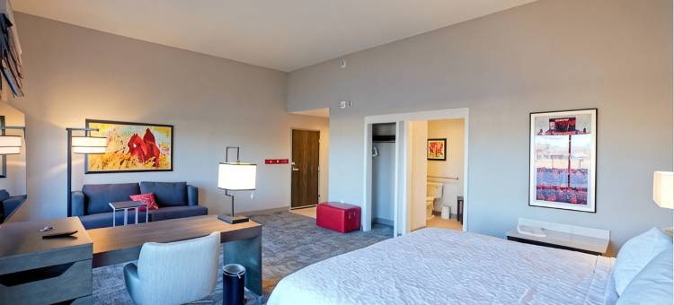 拉伯克大学欢朋套房酒店(Hampton Inn & Suites by Hilton Lubbock University)图片