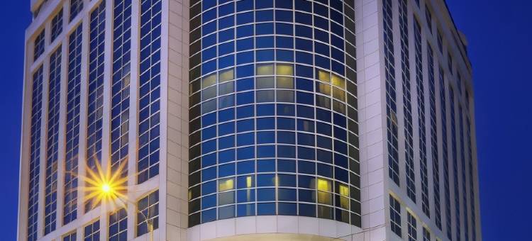 埃尔比勒市中心德德曼酒店(Dedeman Erbil Hotel City Center)图片