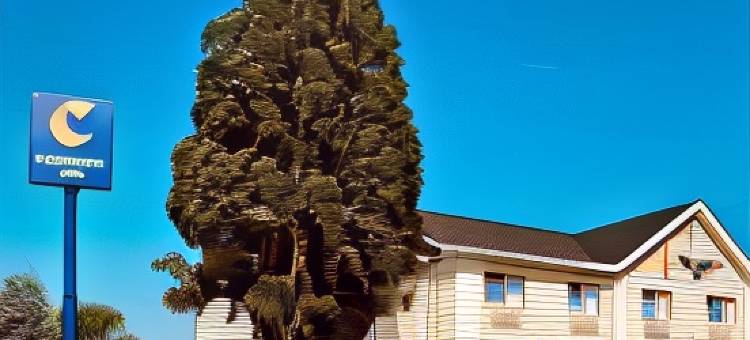 埃伦斯堡舒适酒店(Comfort Inn Ellensburg)图片