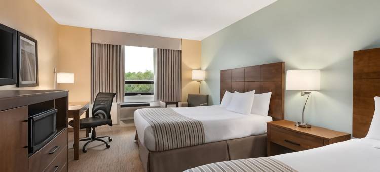 Travelodge by Wyndham Sydney图片