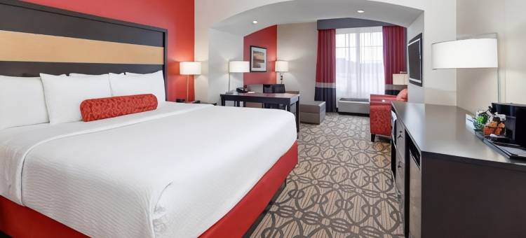斯塔克维尔密歇根州立大学拉昆塔温德姆套房酒店(La Quinta Inn & Suites by Wyndham Starkville at MSU)图片