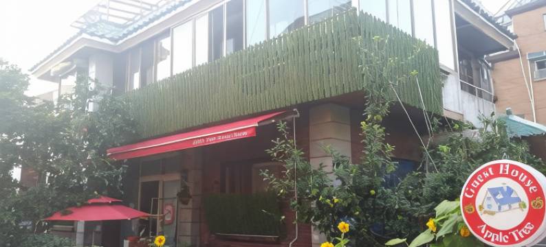 苹果树旅馆(Appletree Guesthouse)图片