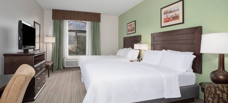 奥罗谷图森北智选假日套房酒店(Holiday Inn Express & Suites Oro Valley-Tucson North)图片