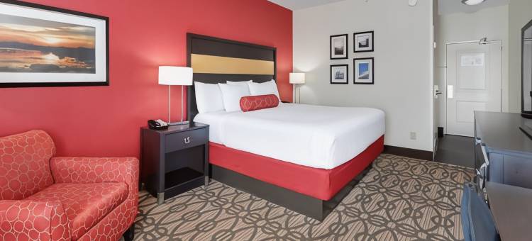 斯塔克维尔密歇根州立大学拉昆塔温德姆套房酒店(La Quinta Inn & Suites by Wyndham Starkville at MSU)图片