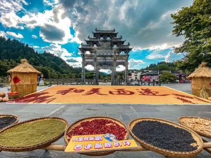 黟縣秋日收穫盛景開啟