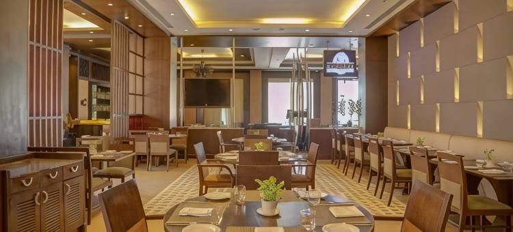 德里NCR金翅雀酒店(Goldfinch Hotel Delhi NCR)图片