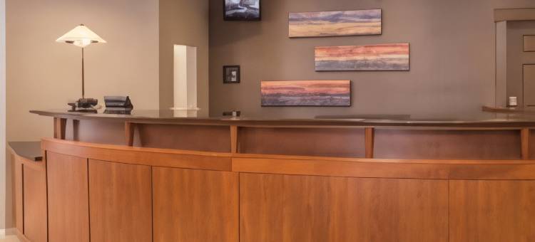 尚迪利杜勒斯南部Residence Inn 酒店(Residence Inn Chantilly Dulles South)图片