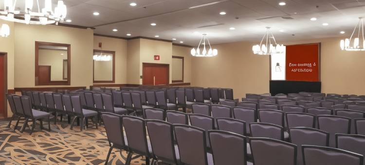 迈克艾伦希尔顿逸林套房酒店(DoubleTree Suites by Hilton McAllen)图片