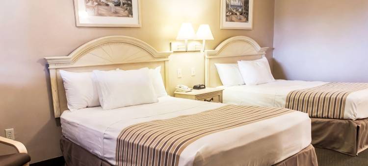 罗德威酒店阿波普卡南部(Rodeway Inn Apopka South)图片