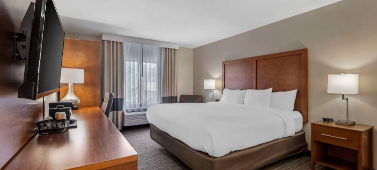 舒适套房酒店(Comfort Inn & Suites)图片