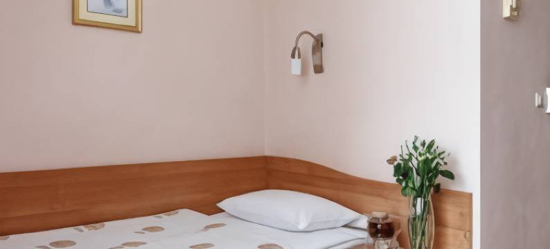 千里马斯拉维亚酒店(Maxima Slavia Hotel)图片