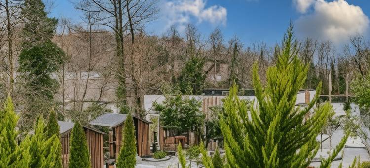 Cosmos Smart Sochi Tivoli Hotel图片