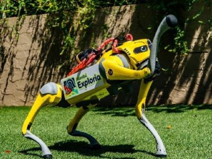 萬態野生動物世界 AI 新萌友登場