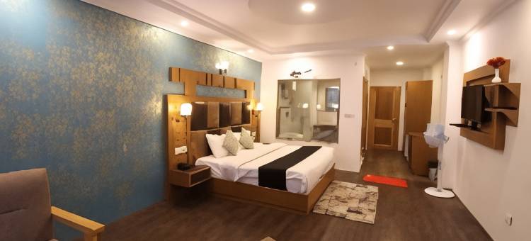Hotel Nsb Manali图片