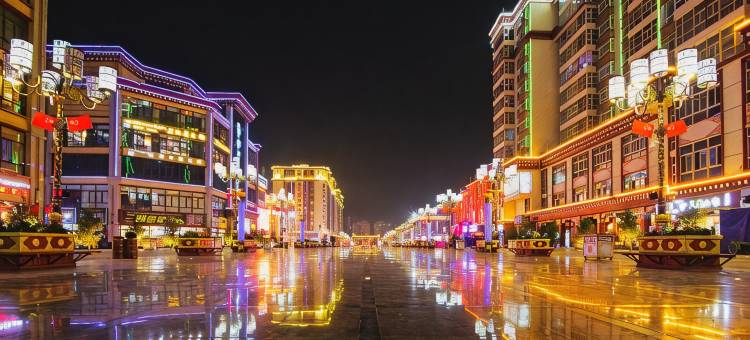 昌都金泰名人酒店图片