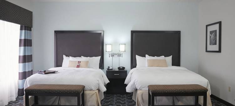 纳什维尔欧普兰欢朋酒店(Hampton Inn & Suites Nashville @ Opryland)图片