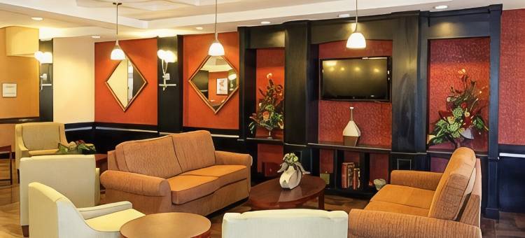 萨尔弗 - 查尔斯湖舒适套房酒店(Comfort Suites Sulphur-Lake Charles)图片