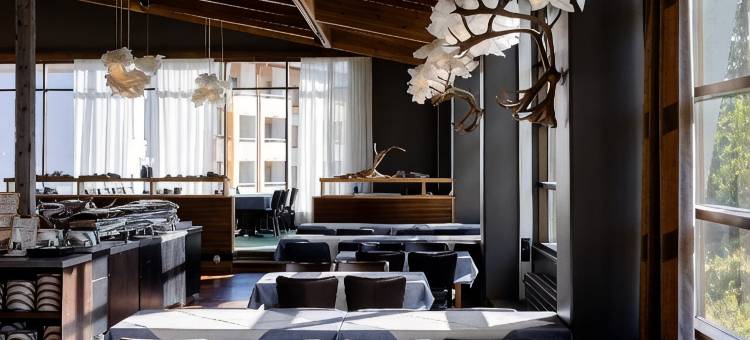 拉普兰萨迦酒店(Lapland Hotels Saaga)图片
