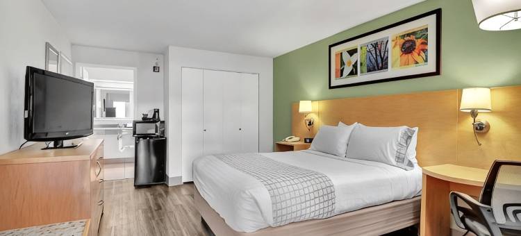 尼克萨斯酒店，贝斯特韦斯特品质精选系列(Hotel Nexus, BW Signature Collection)图片