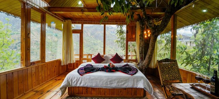 Himalayan Abode Tree House图片