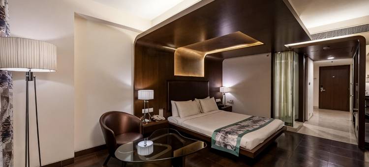 科库恩豪华商务酒店(Cocoon Luxury Business Hotel)图片