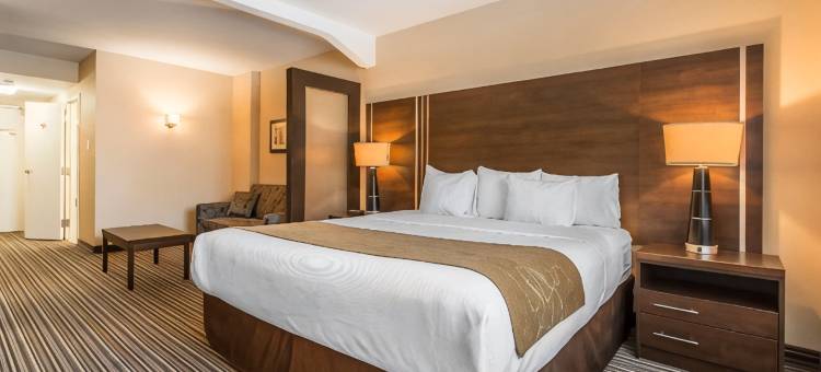 市中心舒适套房(Comfort Suites Downtown)图片