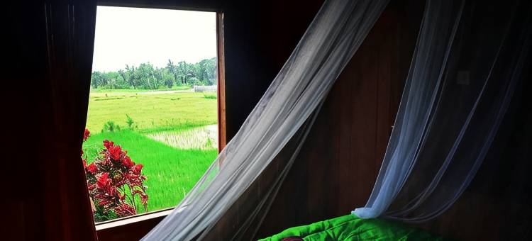 查哈亚特特巴图旅馆(Cahaya Tetebatu Inn)图片