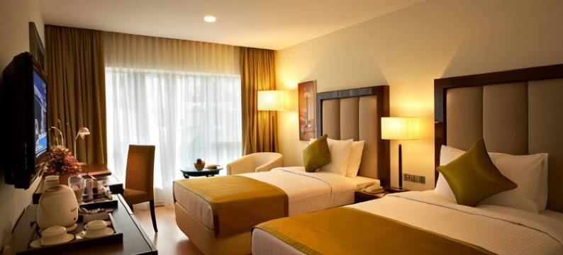 阿达什汉密尔顿酒店(Adarsh Hamilton)图片