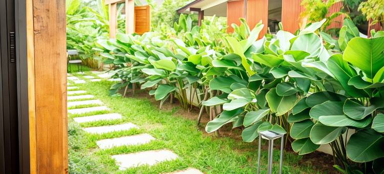 班客栈(Baan Inn)图片