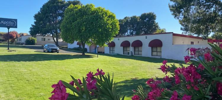 帕克斯阿波罗汽车旅馆(Apollo Motel Parkes)图片