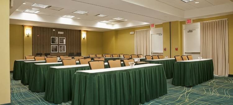 芝加哥内珀维尔/沃伦维尔SpringHill Suites酒店(SpringHill Suites Chicago Naperville/Warrenville)图片
