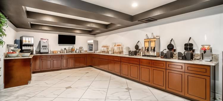 布埃纳帕克套房酒店(The Buena Park Hotel & Suites)图片