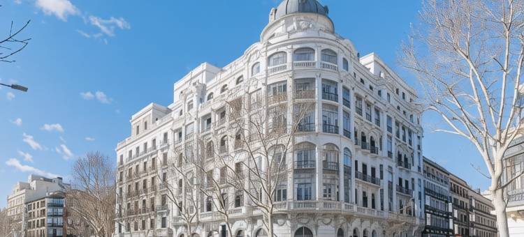 珀蒂宫萨沃伊阿方索十二世酒店(Petit Palace Savoy Alfonso XII)图片