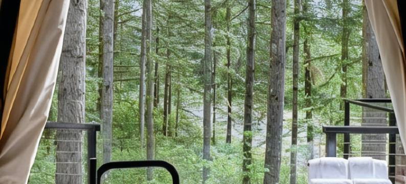 斯卡马尼亚旅馆(Skamania Lodge)图片