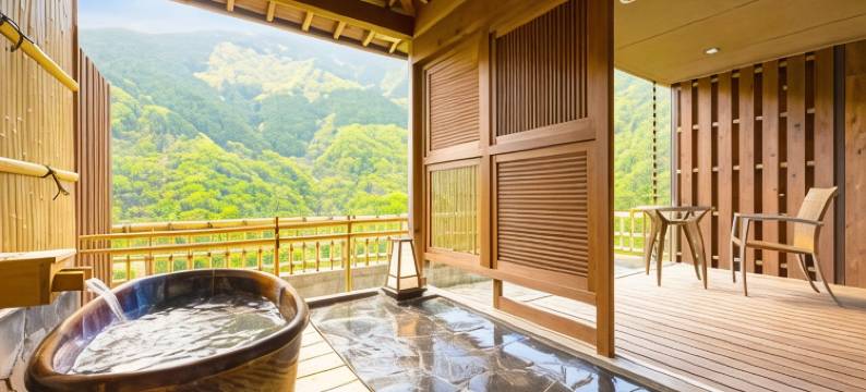 和之宿酒店祖谷温泉天然温泉(Hotel Iya Onsen)图片