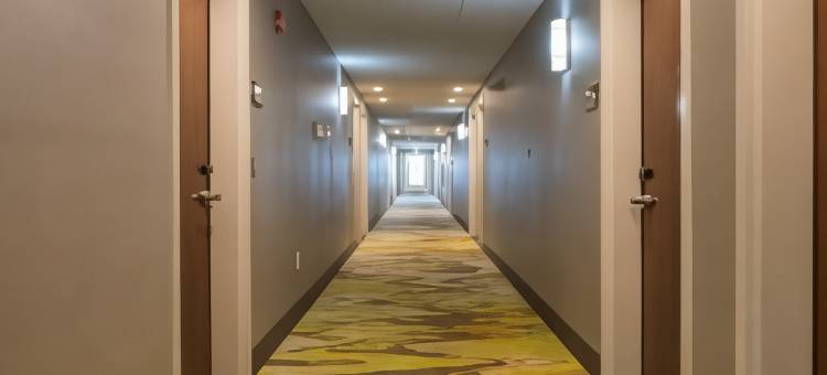 希尔顿欢朋酒店-韦恩斯伯勒(Hampton Inn Waynesboro)图片