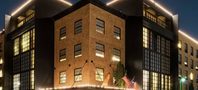 NYLO达拉斯普莱诺酒店，希尔顿启缤精选(Nylo Dallas Plano Hotel, Tapestry Collection by Hilton)图片