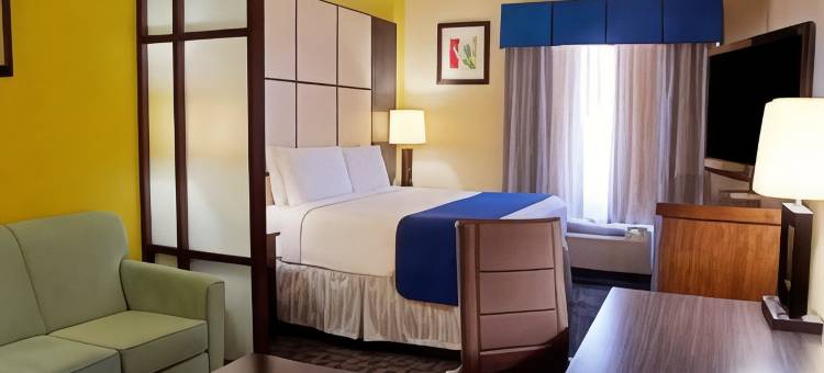 欧文-达拉斯沃斯堡北速8酒店(Super 8 by Wyndham Irving/DFW Apt/North)图片