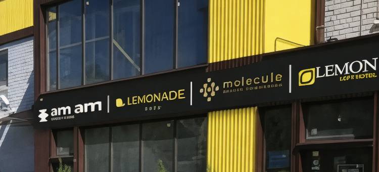 柠檬阁楼酒店(Lemon Loft Hotel)图片