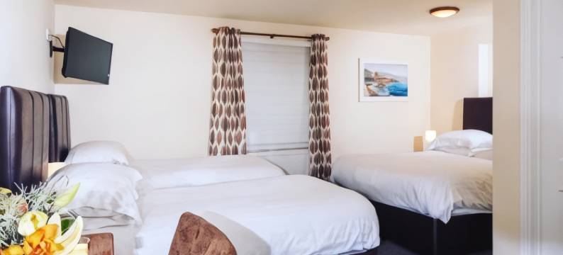 公鸡旅馆(The Cock Inn Hotel)图片