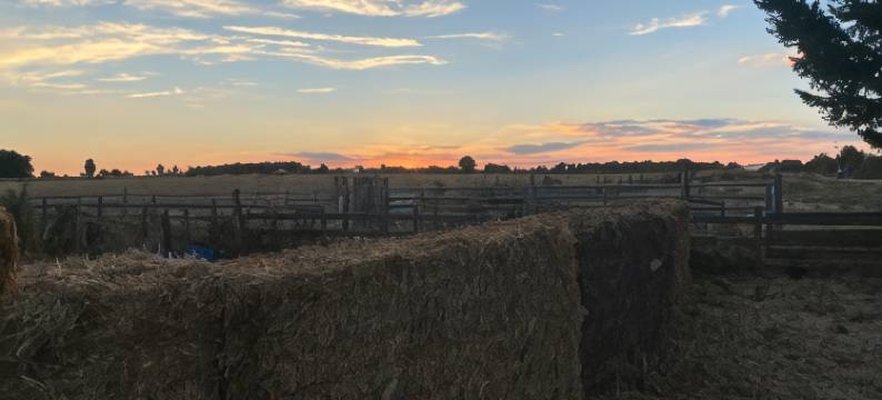 卡罗瑞农场(Ferme du Caroire)图片