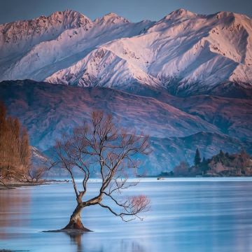 新西兰皇后镇+福克斯冰川镇+格雷茅斯+基督城+阿卡罗阿+特卡波12日11晚私家团